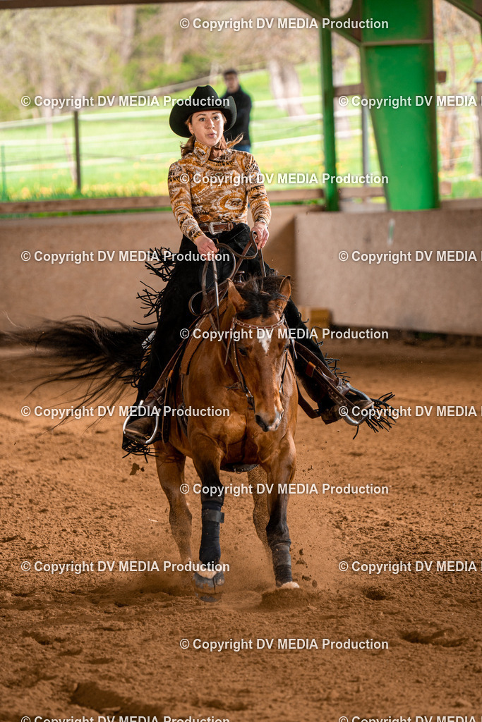 BAL01002 | dv-media-shop - Realisiert mit Pictrs.com