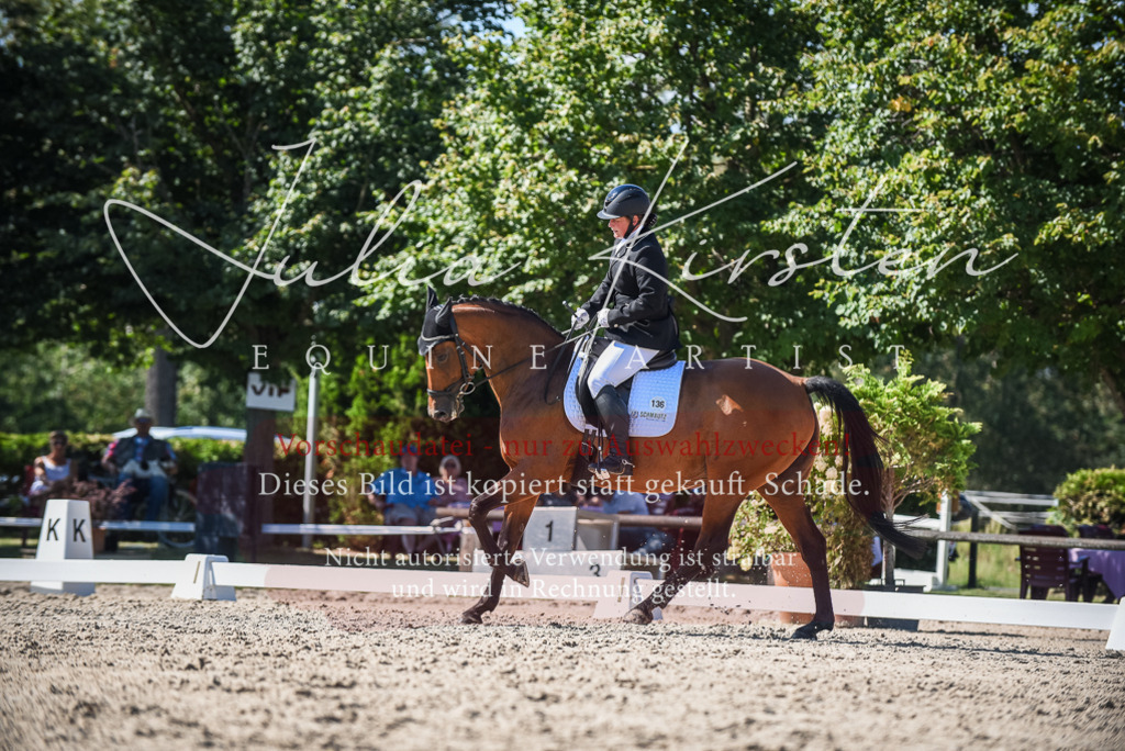 DSC_9652 | Pferde- und Turnierfotografie in Westsachsen. Pferdeportraits, Auftragszeichnungen und intuitive Kunst.