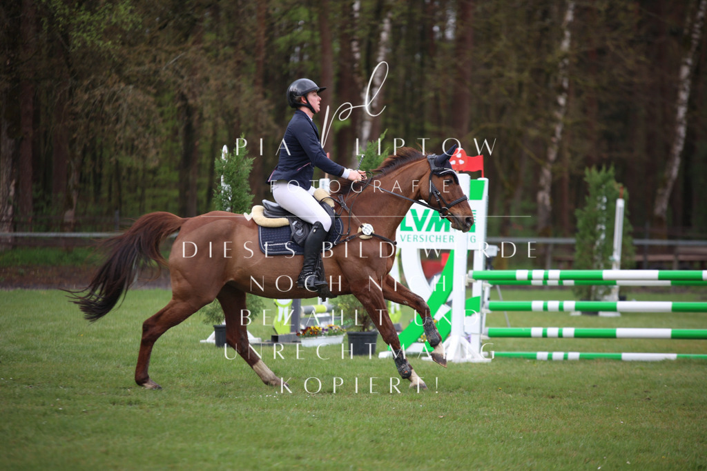 IMGT2981 | pl-fotografie