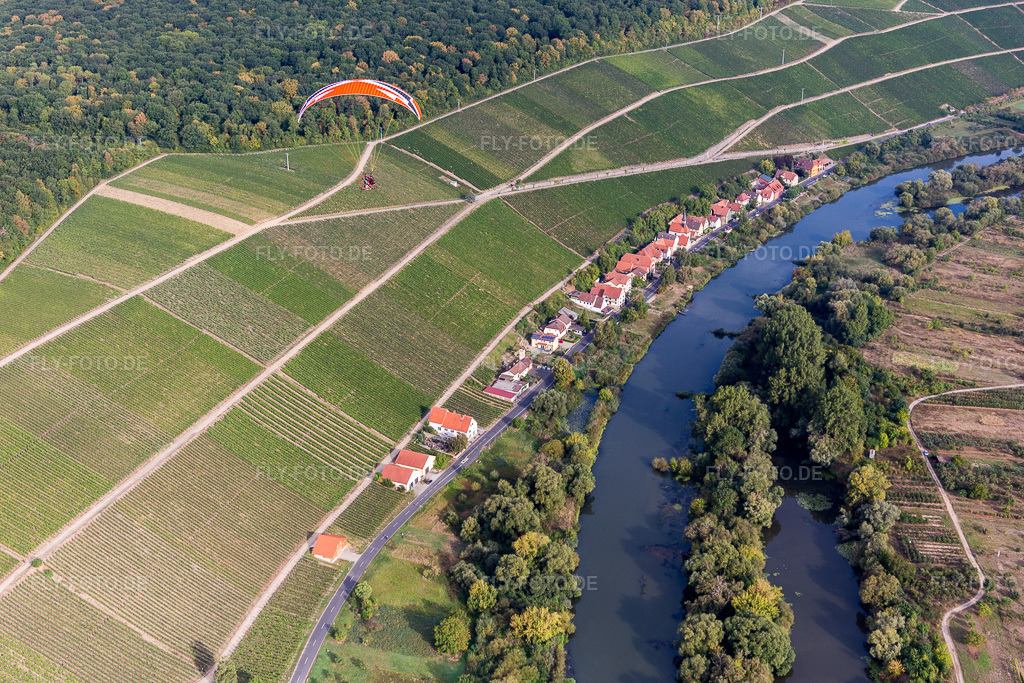 Luftbild: Weinberge am Main bei Köhler im Ortsteil Köhler in Volkach im Bundesland Bayern in Deutschland. Foto: IMG_111269.jpg vom 09.09.2018 durch Werner Riehm/FLY-FOTO.de