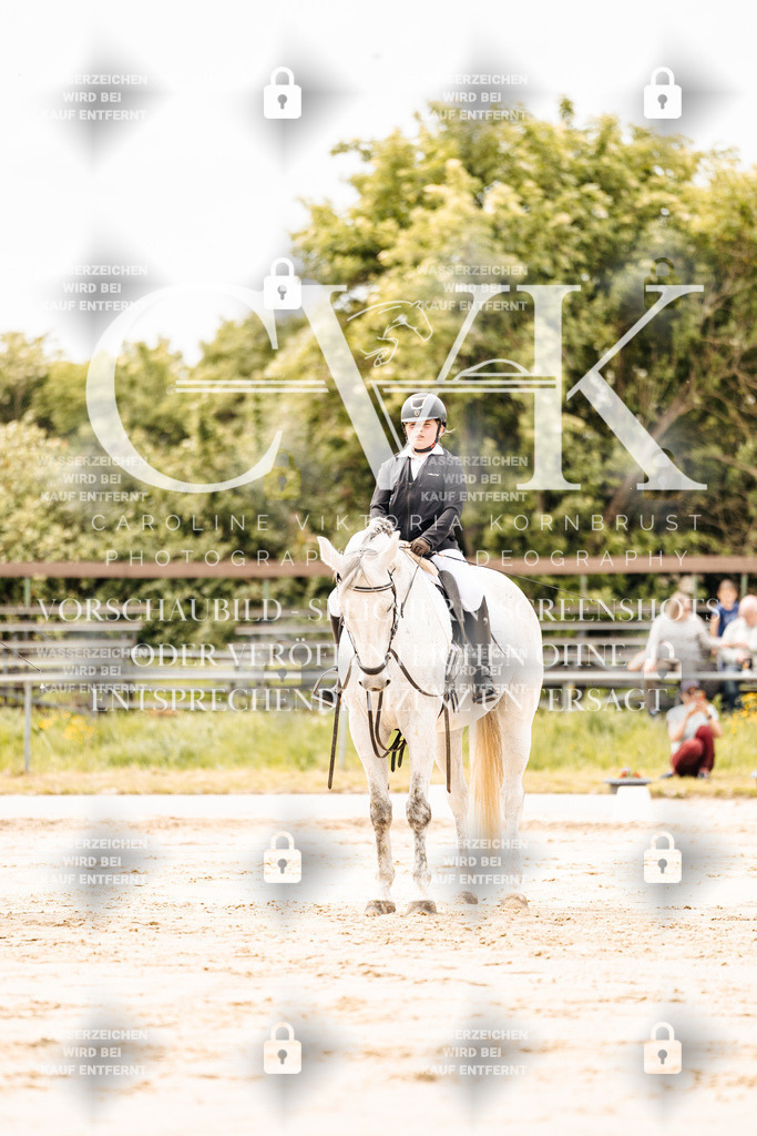 CK902747 | Turnierfotografie Pferdefotografie Trier Rheinland-Pfalz Pferdesport Reitsport Tierfotografie Sportfotografie Pferdevideo Pferdevideografie Equestrianvideography equestrianphotography  - Realisiert mit Pictrs.com