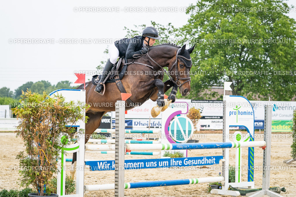 DSC09797 | Pferdegrafie