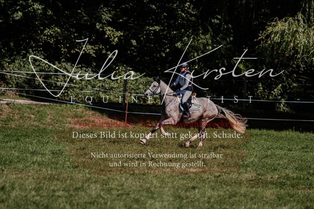 DSC_1389 | Pferde- und Turnierfotografie in Westsachsen. Pferdeportraits, Auftragszeichnungen und intuitive Kunst.