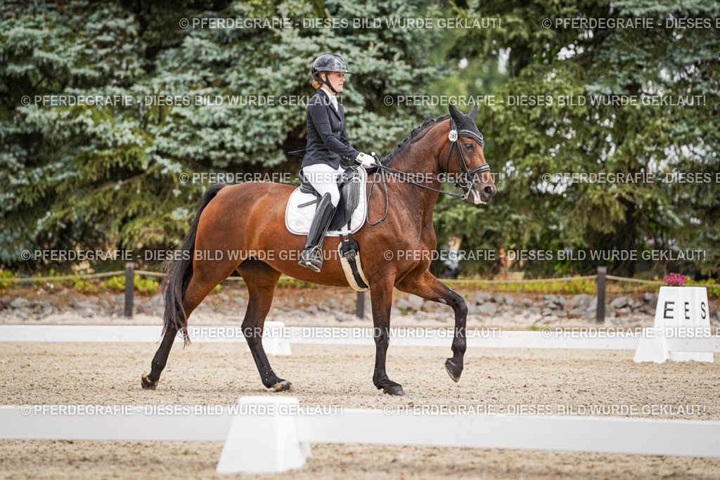 DSC04554 | Pferdegrafie