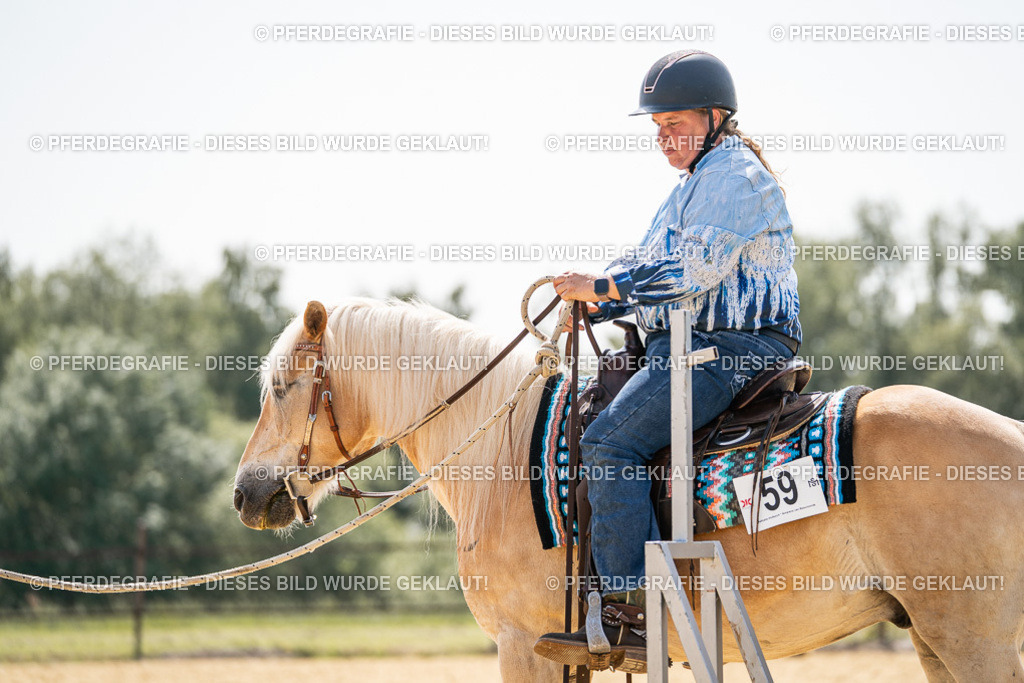 DSC09819 | Pferdegrafie