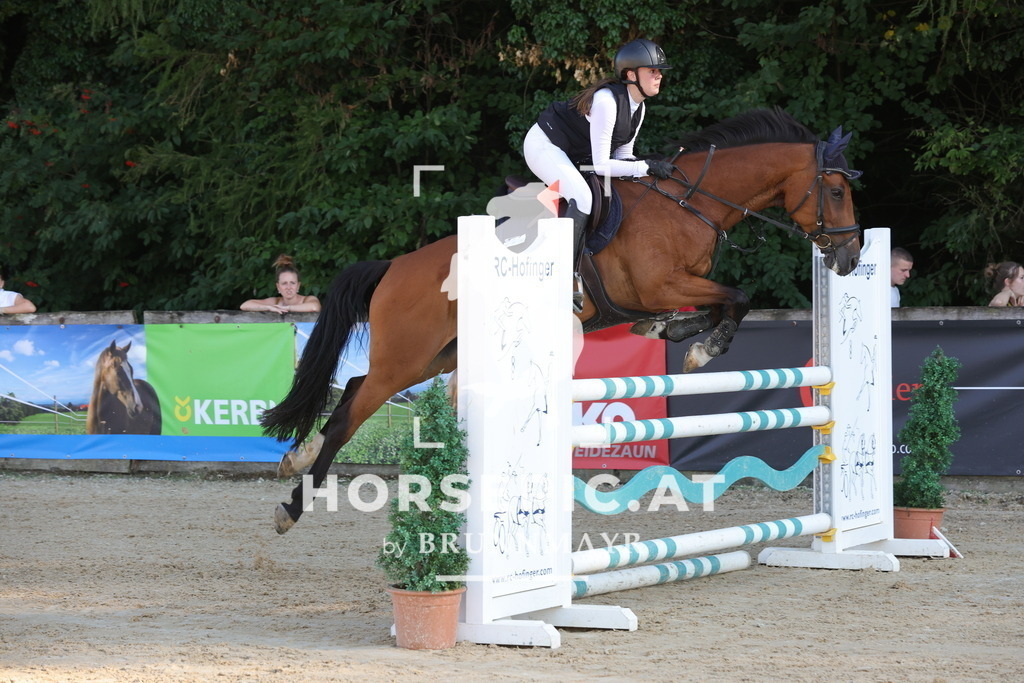 0P6A2068 | Willkommen bei Brunnmayr - Design & Fotografie – Ihrem Spezialisten für Reitturniere und Pferdeveranstaltungen in Oberösterreich, Salzburg und Bayern! Seit über 17 Jahren sind wir leidenschaftlich dabei.