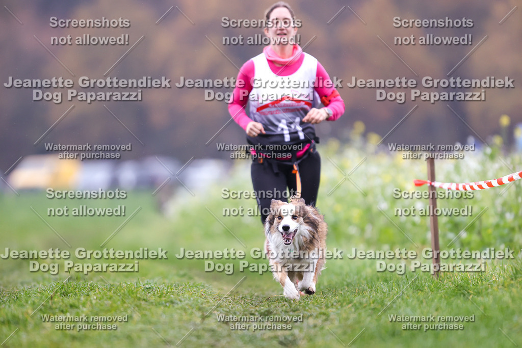 Dog Paparazzi - Visbeck 25 -811 | Dog Paparazzi Jeanette Grottendiek Fotografie & Videografie - Realisiert mit Pictrs.com
