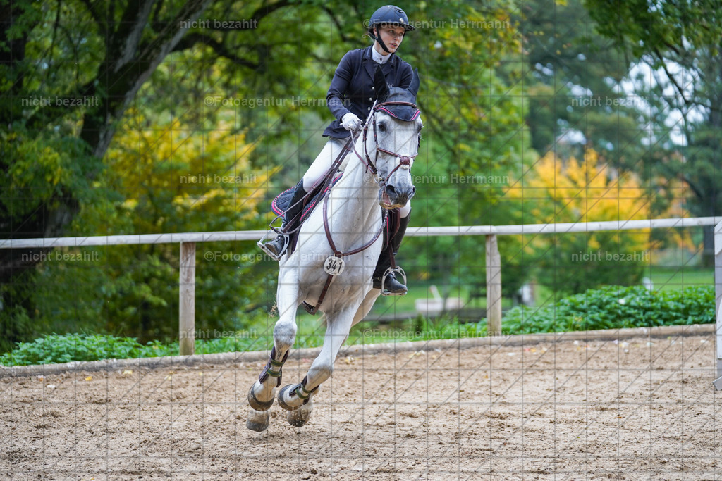 20221009-FAH08971 | Diessen am Ammersee, 2022, Dressur- und Springturnier, Reitsportbilder, Turnierfotografen Bayern, Pferdefotografen, Fotoagentur Herrmann, Turnierbilder