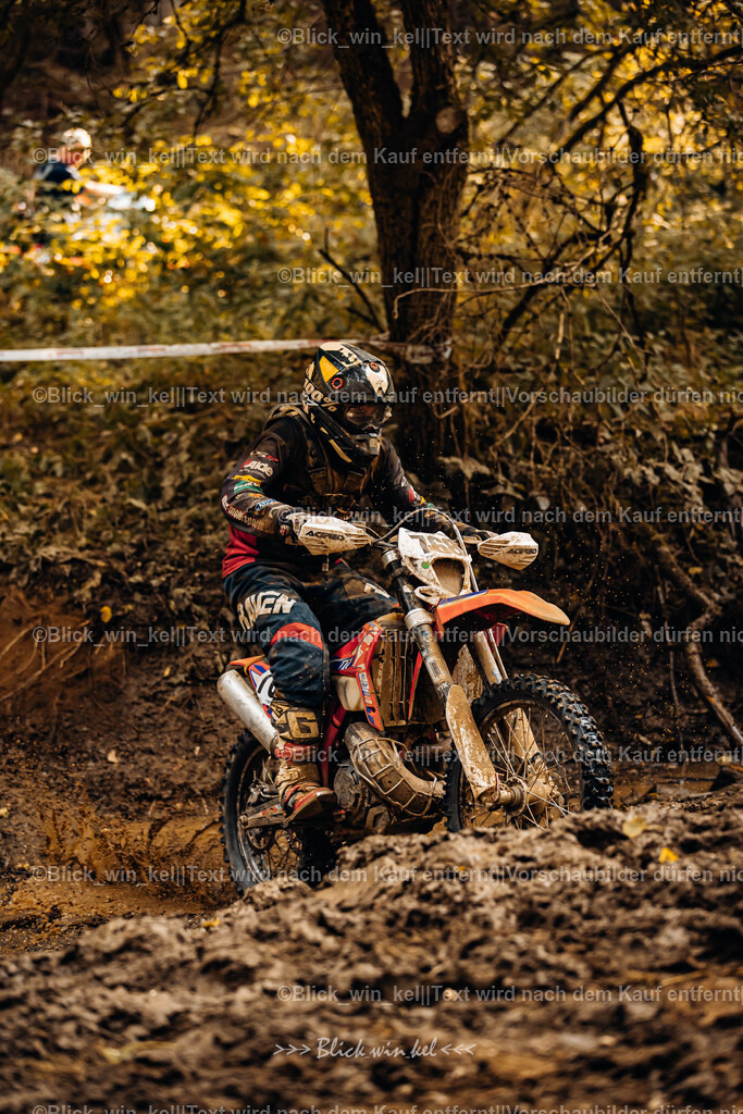 E68A6154 | blick_win_kel