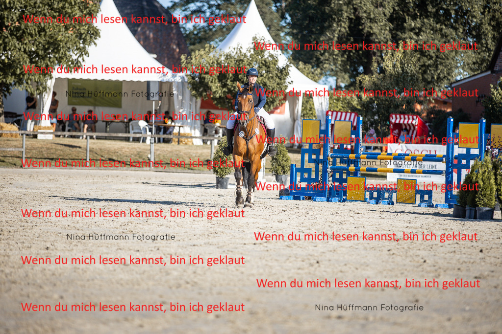 BK1A7665 | Turnierbilder Turnierfotos Nina Hüffmann Turnierfotografie Pferdefotografie Tierzeichnung Haustierzeichnung Pferdezeichnung Hundezeichnung Videograf  - Realisiert mit Pictrs.com