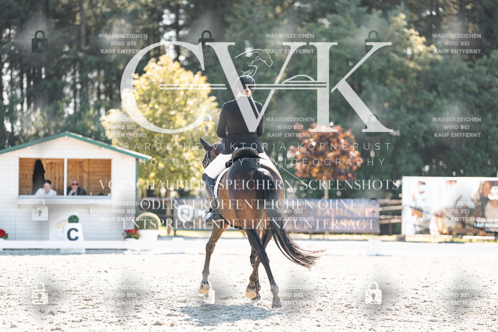 CK906347 | Turnierfotografie Pferdefotografie Trier Rheinland-Pfalz Pferdesport Reitsport Tierfotografie Sportfotografie Pferdevideo Pferdevideografie Equestrianvideography equestrianphotography  - Realisiert mit Pictrs.com