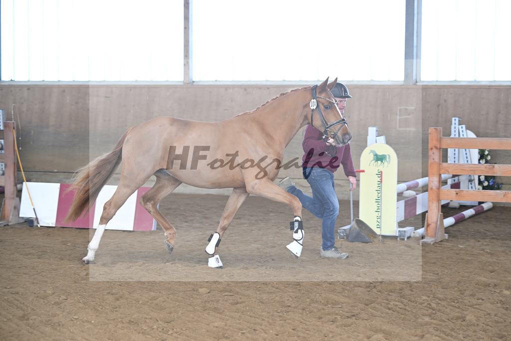 Kat-Nr. 4 Thuraus Giordano v. Giotto_Hummer_49250097 | hf-fotografie - Realisiert mit Pictrs.com