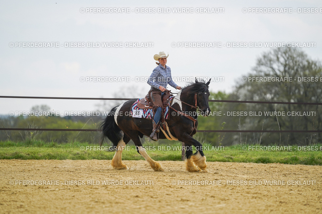 DSC08037 | Pferdegrafie