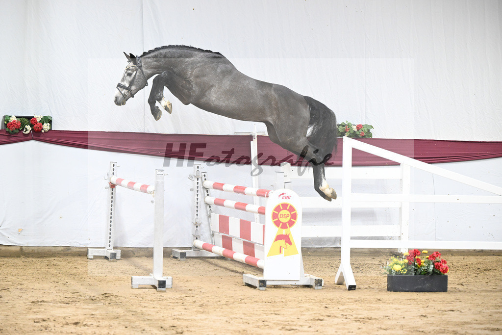 Kat-Nr. 72 Chacoon Blue x Contagio_Matthias Schlamminger GmbH_47252945 | hf-fotografie - Realisiert mit Pictrs.com