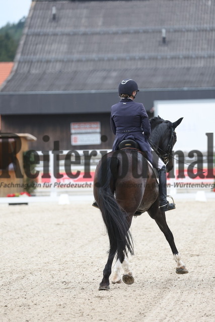 Marbach_2023_Prfg.Nr.02_Kurz Grand-Prix_Bärbel Eppinger_Roy 103 (4) | Alle Fotos der Reiterjournal Fotografin Doris Matthaes im Reiterjournal Online-Fotoshop. - Realisiert mit Pictrs.com