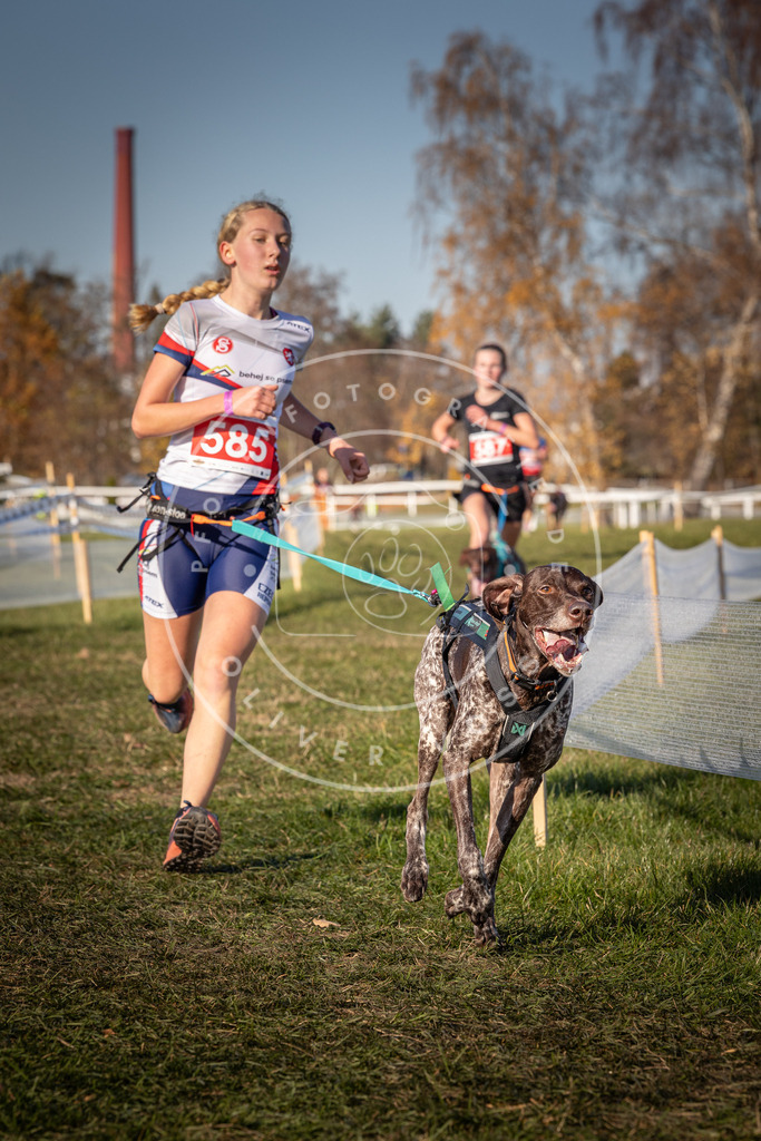 CaniXpix_0L8A8249 | Hundefotografie, Tierfotograf, Pfotenfotografie, Fotoshooting Hund, Hunde Portrait, Hundesport, Hundeportraits, Heideshooting, Hunde, Sportfotograf, Hundefotograf, Turnierhundsport, THS,  - Realisiert mit Pictrs.com