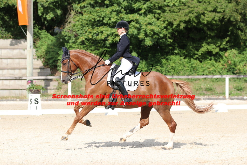 IMG_6484 | lmwpictures - Realisiert mit Pictrs.com