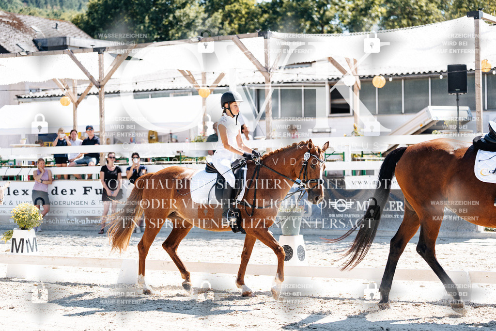 CK902408 | Turnierfotografie Pferdefotografie Trier Rheinland-Pfalz Pferdesport Reitsport Tierfotografie Sportfotografie Pferdevideo Pferdevideografie Equestrianvideography equestrianphotography  - Realisiert mit Pictrs.com