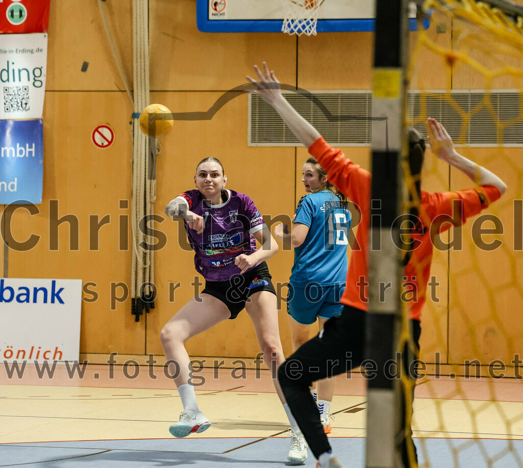 2024-02-24_025_SpVgg_Altenerding_gegen_SSG_Metten_Frauen | Erding, Deutschland, 24.02.2024:
Handball, Bezirksoberliga Frauen Altbayern 2023 / 2024, 15. Spieltag, SpVgg Altenerding gegen SSG Metten, Endergebnis: 32:28

Lena Marie Becker (SpVgg Altenerding, #7), Nina Bernhard (SSG Metten, #16), Tanja Kraus (SSG Metten, #12)

Foto: Christian Riedel / fotografie-riedel.net