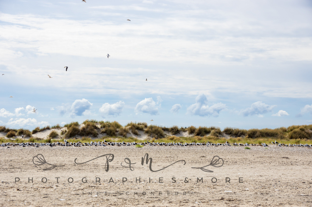 _Grenen22-1815 | Photographies and more - Realisiert mit Pictrs.com