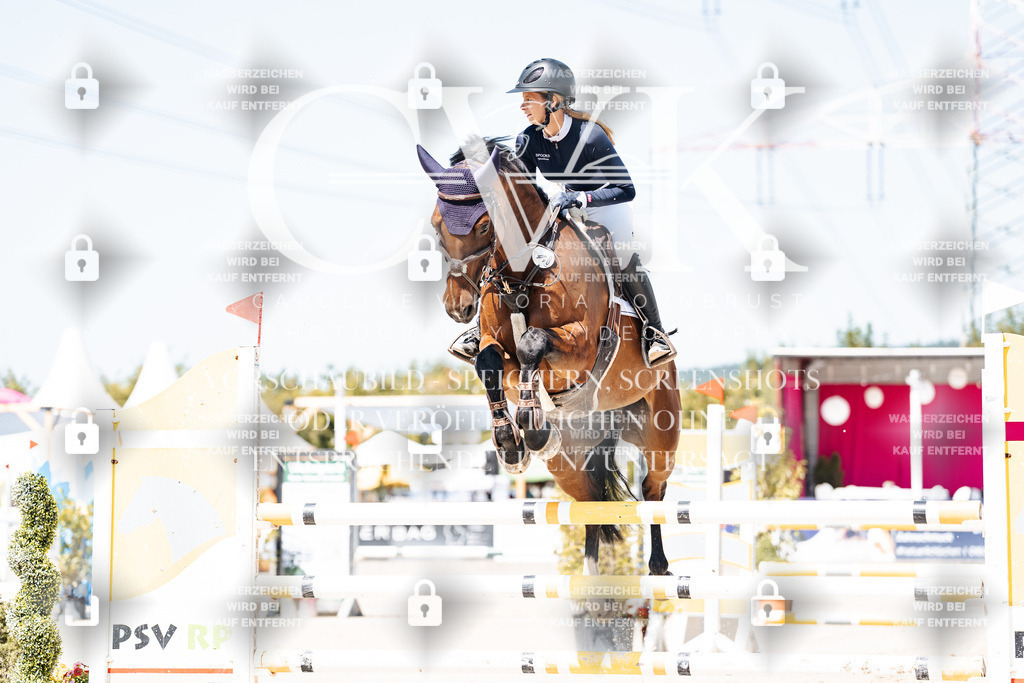 CK909562 | Turnierfotografie Pferdefotografie Trier Rheinland-Pfalz Pferdesport Reitsport Tierfotografie Sportfotografie Pferdevideo Pferdevideografie Equestrianvideography equestrianphotography  - Realisiert mit Pictrs.com