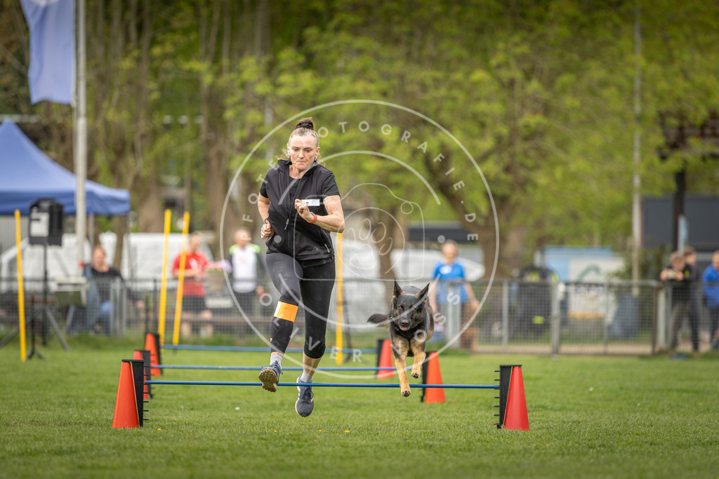Pfotenfotografie_DV3A8354 | Hundefotografie, Tierfotograf, Pfotenfotografie, Fotoshooting Hund, Hunde Portrait, Hundesport, Hundeportraits, Heideshooting, Hunde, Sportfotograf, Hundefotograf, Turnierhundsport, THS,  - Realisiert mit Pictrs.com