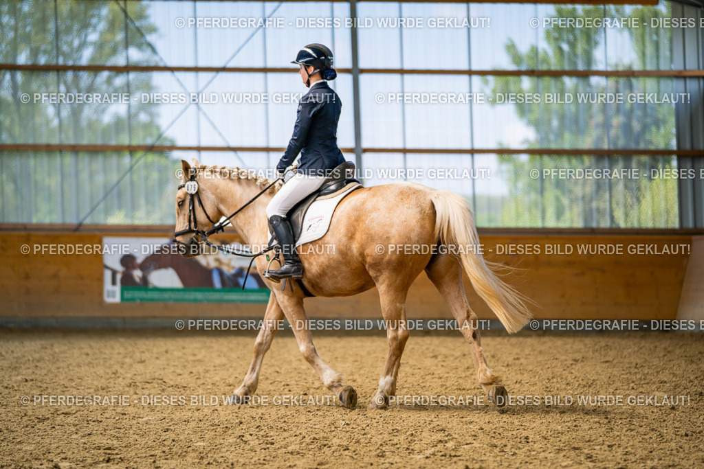 DSC03623 | Pferdegrafie