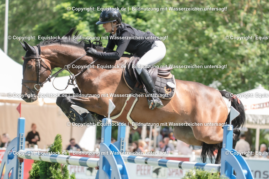 20230527_12_CSI4_Pfungstädter_0005 | equistock