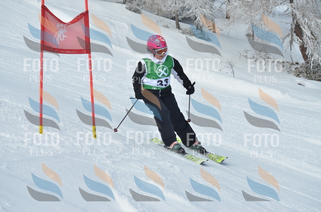 D8660 | holidayphoto