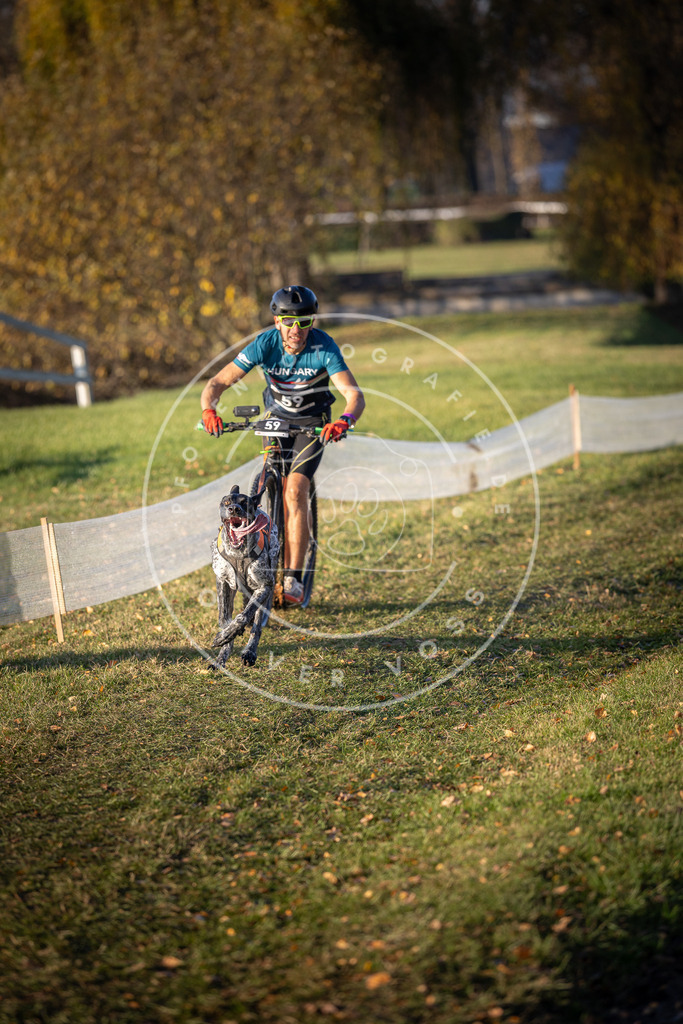 CaniXpix_DV3A0812 | Hundefotografie, Tierfotograf, Pfotenfotografie, Fotoshooting Hund, Hunde Portrait, Hundesport, Hundeportraits, Heideshooting, Hunde, Sportfotograf, Hundefotograf, Turnierhundsport, THS,  - Realisiert mit Pictrs.com