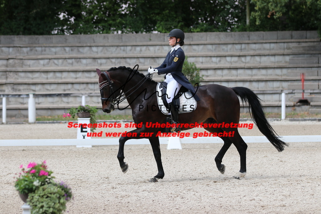 IMG_9559 | lmwpictures - Realisiert mit Pictrs.com