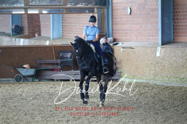DKP42734 | Turniersportfotografie; Pferdefotografie; Dressurfotografie