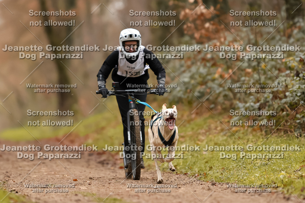 Dog Paparazzi - Speedhunter Mannheim  2025-421 | Dog Paparazzi Jeanette Grottendiek Fotografie & Videografie