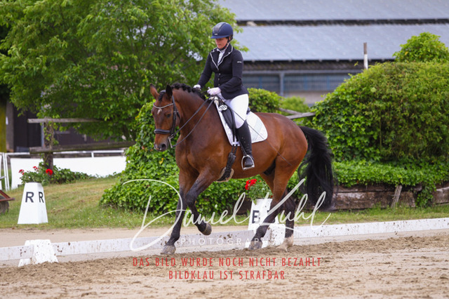 DKP40243 | Turniersportfotografie; Pferdefotografie; Dressurfotografie