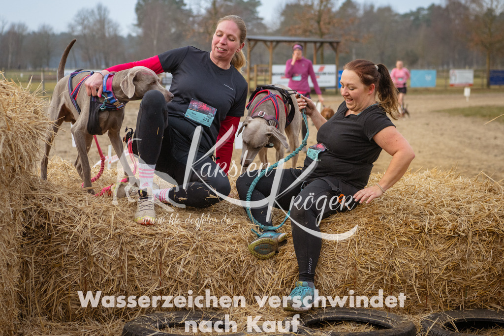 0840_ZZ94255 | kk-dogfotos