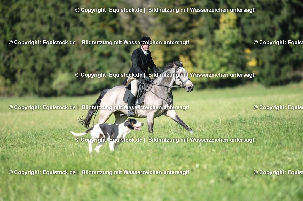 20251011_Jagd-Marbach_0237 | Foto: Thomas Hartig