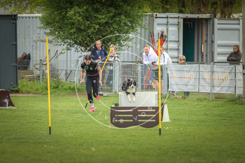 Pfotenfotografie_0L8A1593 | Hundefotografie, Tierfotograf, Pfotenfotografie, Fotoshooting Hund, Hunde Portrait, Hundesport, Hundeportraits, Heideshooting, Hunde, Sportfotograf, Hundefotograf, Turnierhundsport, THS,  - Realisiert mit Pictrs.com