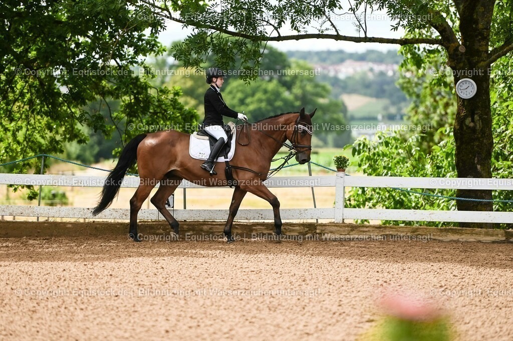 20230716_10-1_Reiter-WB Schritt - Trab - Galopp_0062 | equistock