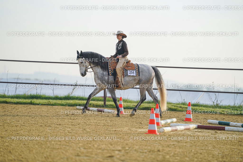 DSC09660 | Pferdegrafie