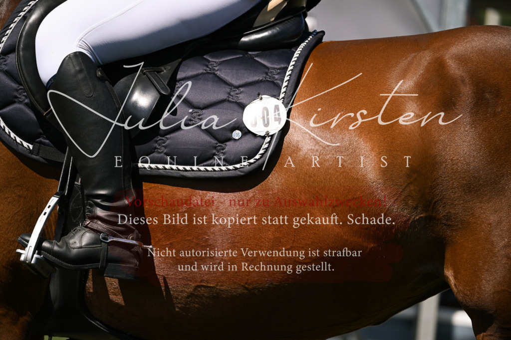 DSC_0382 | Pferde- und Turnierfotografie in Westsachsen. Pferdeportraits, Auftragszeichnungen und intuitive Kunst.