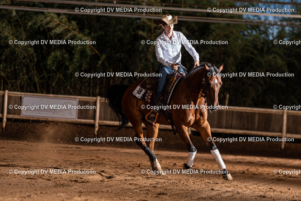 Erbach Tag 1-1274 | dv-media-shop - Realisiert mit Pictrs.com