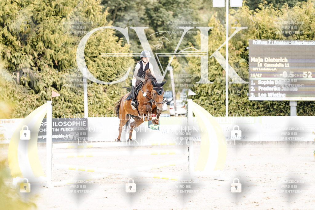 CK902291 | Turnierfotografie Pferdefotografie Trier Rheinland-Pfalz Pferdesport Reitsport Tierfotografie Sportfotografie Pferdevideo Pferdevideografie Equestrianvideography equestrianphotography  - Realisiert mit Pictrs.com