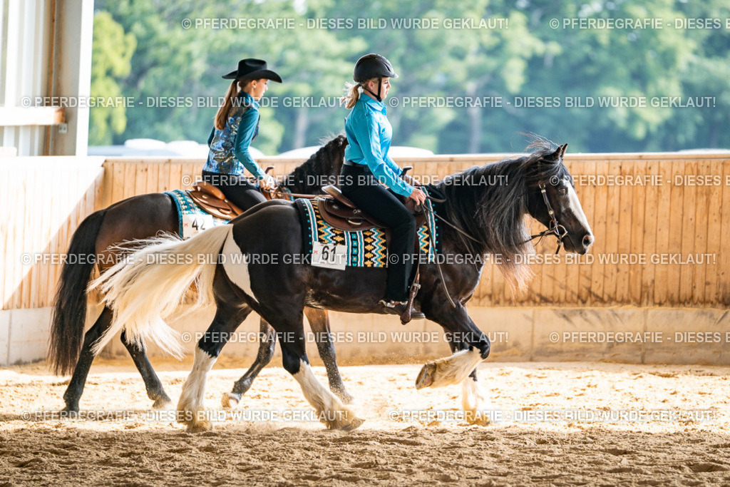 DSC08539 | Pferdegrafie