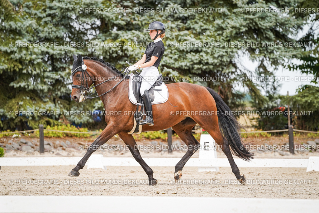 DSC06136 | Pferdegrafie