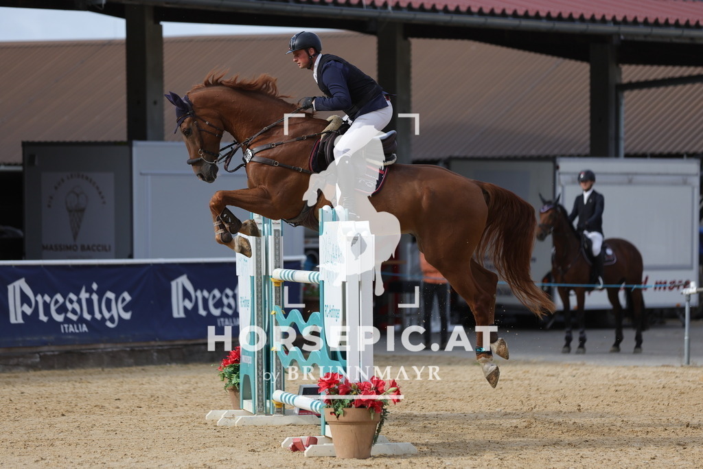 0P6A9009 | Willkommen bei Brunnmayr - Design & Fotografie – Ihrem Spezialisten für Reitturniere und Pferdeveranstaltungen in Oberösterreich, Salzburg und Bayern! Seit über 17 Jahren sind wir leidenschaftlich dabei.