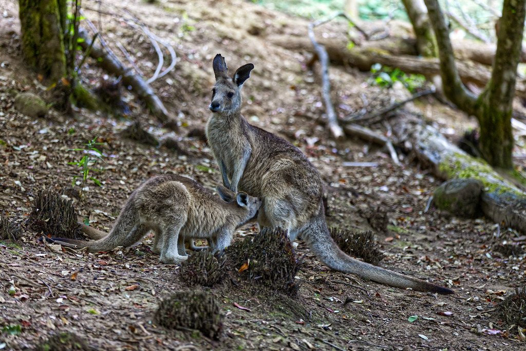 1H5A5765 | ansichtssache