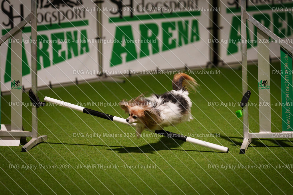 allesWIRTHgut_Tierfotografie-DVG_Agility_Masters_2026-17_44-7R505840 | Professionelle Tierfotografie in Mönchengladbach von Daniel Wirth (allesWIRTHgut). Liebevolle & natürliche Bilder von Hunden & Katzen für unvergessliche Erinnerungen.