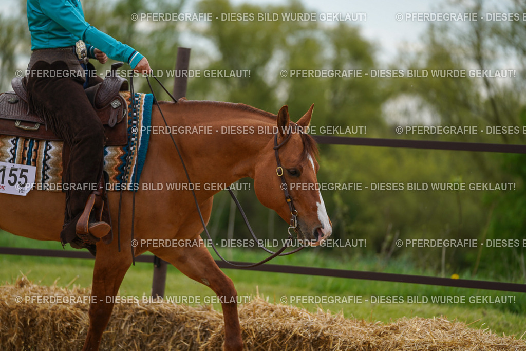 DSC03032 | Pferdegrafie