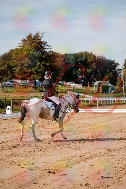 2026_10_03_Siefer-Hof_114807_Z63_27845040 | Professionelle Reitsport-, Turnier- und Eventfotografie von Robert Broda. Galerien mit ausgewählten und bearbeiteten Bildern direkt online ansehen und bestellen.
