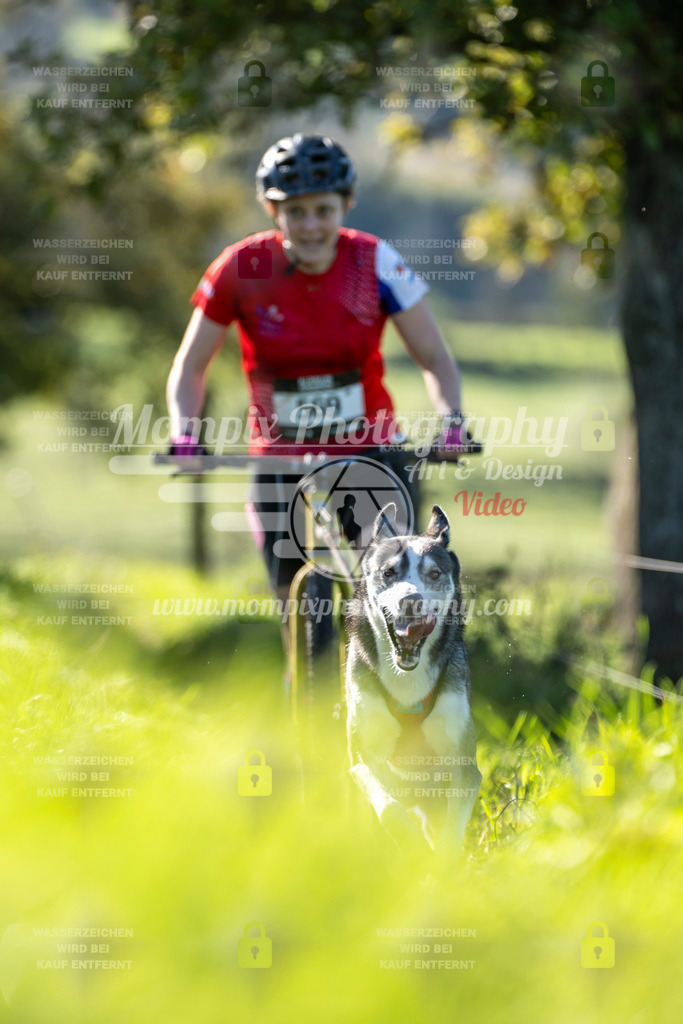 MompixPhotography_20TSB_E3_DS1-40 | PayLife